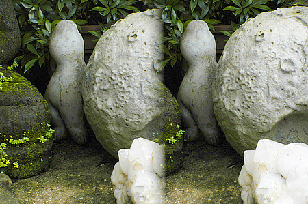 stereo pair of garden rocks