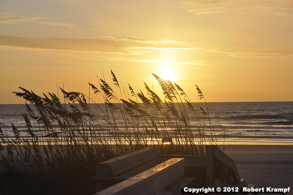 sunrise at the beach