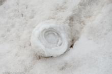 coiled snow structure