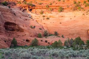 Sandstone cliff